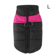 Warm Up Zip Up Padded Dog Jacket with Dual Ring Leash_3