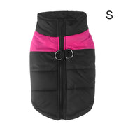 Warm Up Zip Up Padded Dog Jacket with Dual Ring Leash_33