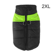 Warm Up Zip Up Padded Dog Jacket with Dual Ring Leash_13