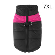 Warm Up Zip Up Padded Dog Jacket with Dual Ring Leash_34