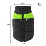Warm Up Zip Up Padded Dog Jacket with Dual Ring Leash_40