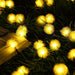 Solar Powered LED Dandelion Flower Pompom Lights_12