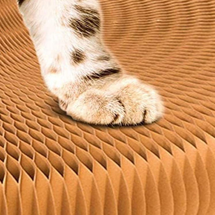 Foldable Cardboard Scratching Post Cat Scraping Pad_2