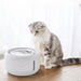 USB 2.5L Cat Dog Water Fountain with Automatic Filtration_7