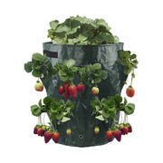 2/4 Pack 3L Hanging Strawberry Planter Aerial Gardening Grow Bag_15