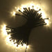 50LED/100LED Christmas Mini Multicolor String Lights-Battery Operated_14