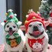 Holiday Christmas Scarf Bibs and Hat Pet Dress Up Costume_16