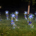 Battery Operated Remote Controlled Starburst String Lights_9