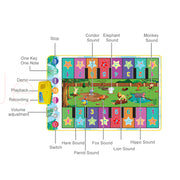 Battery Operated Multifunctional Piano Play Mat for Children_13