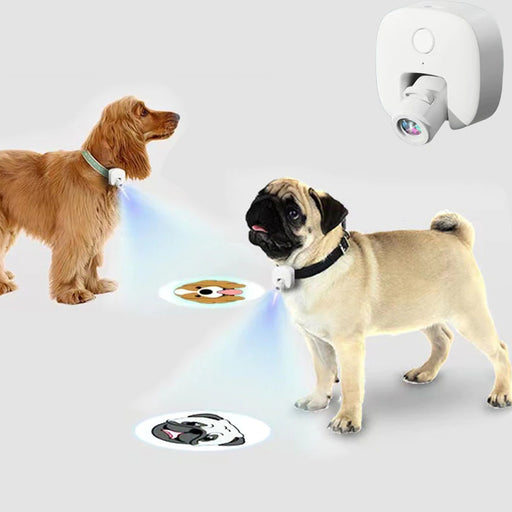 Pet Projector LED Protective Night Light Collar-USB Rechargeable_1