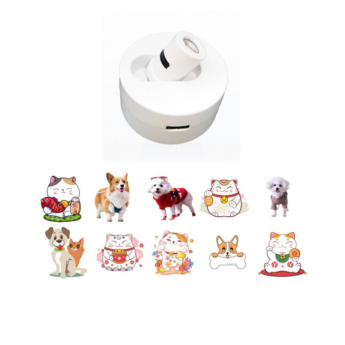Pet Projector LED Protective Night Light Collar-USB Rechargeable_8