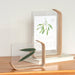 6 Inches Minimalistic Creative Acrylic Home Decoration Herb Photo Frame_3