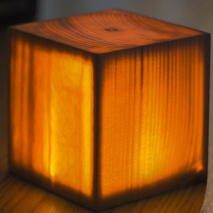 Translucent Wooden LED Touch Night Lamp-USB Rechargeable_1