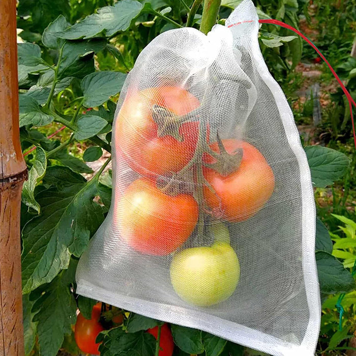 Vegetable Garden Plant Crop Protection Cover Insect Mesh Bags_3