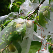 Vegetable Garden Plant Crop Protection Cover Insect Mesh Bags_6