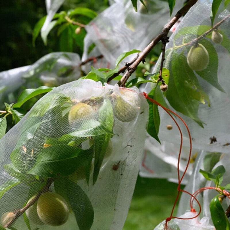 Vegetable Garden Plant Crop Protection Cover Insect Mesh Bags_6