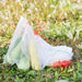 Vegetable Garden Plant Crop Protection Cover Insect Mesh Bags_7