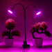 60W Full Spectrum Dual Head Flexible LED Plant Grow Light_5