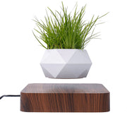 Magnetic Air Levitating 360° Rotating Plant Flower Pot- AU Plug_4