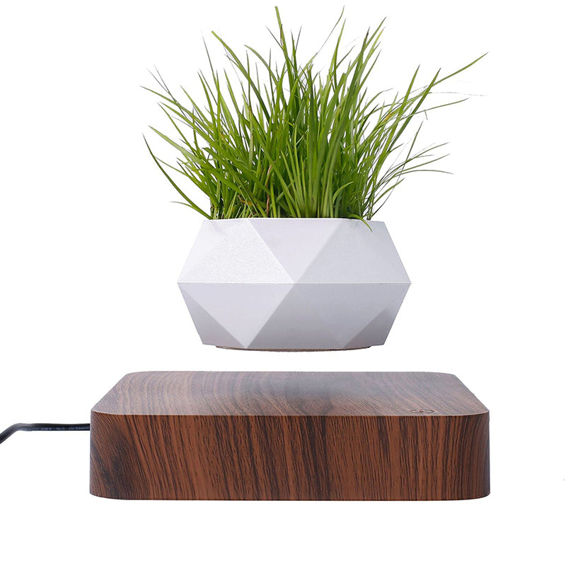 Magnetic Air Levitating 360° Rotating Plant Flower Pot- AU Plug_4