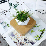 Magnetic Air Levitating 360° Rotating Plant Flower Pot- AU Plug_7