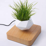 Magnetic Air Levitating 360° Rotating Plant Flower Pot- AU Plug_5
