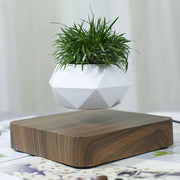 Magnetic Air Levitating 360° Rotating Plant Flower Pot- AU Plug_8