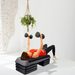 Bostin Life 4 Block Level Aerobic Step Bench Sports & Outdoors > Gym Fitness