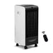 Bostin Life Devanti Evaporative Air Cooler - Black Dropshipzone