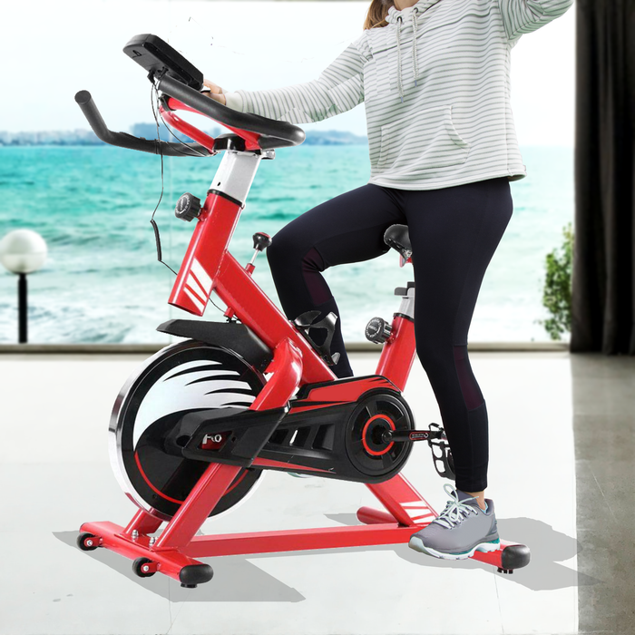 Bostin Life Spin Exercise Home Workout Gym Bike - Red Sports & Outdoors > Fitness