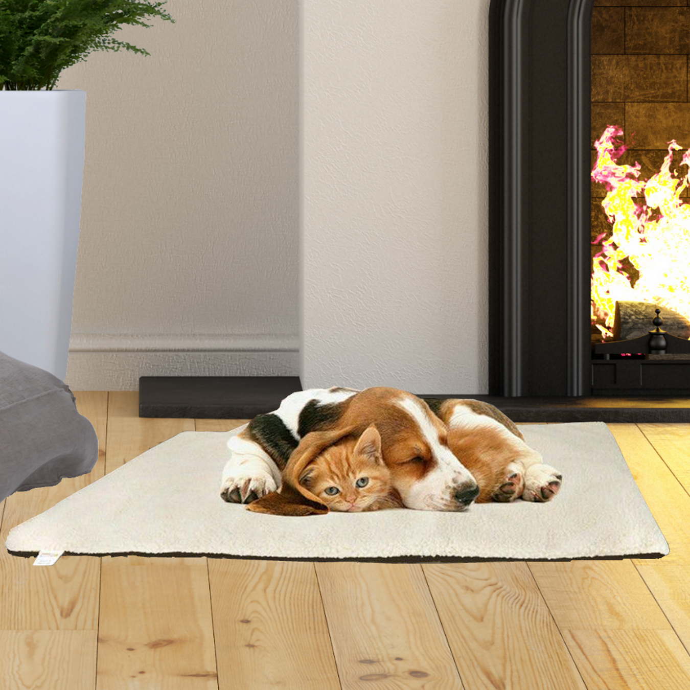Home & Garden > Animals and Pets > Pet Beds