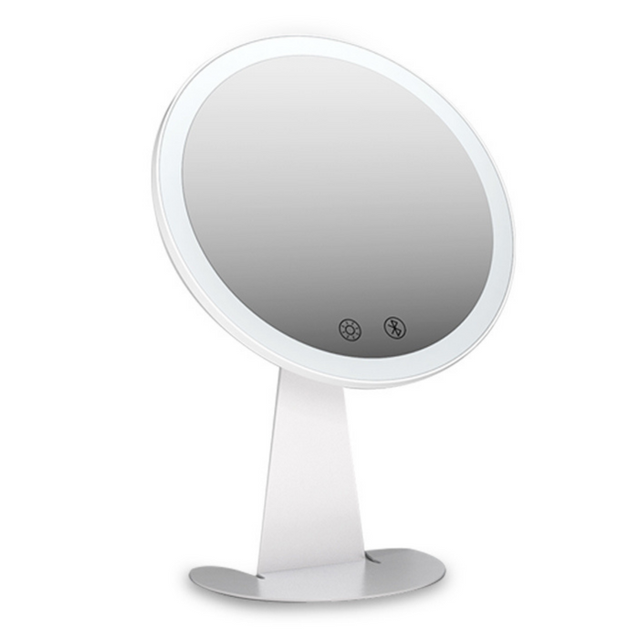 Professional Personal Makeup Mirror with Rechargeable LED Lights