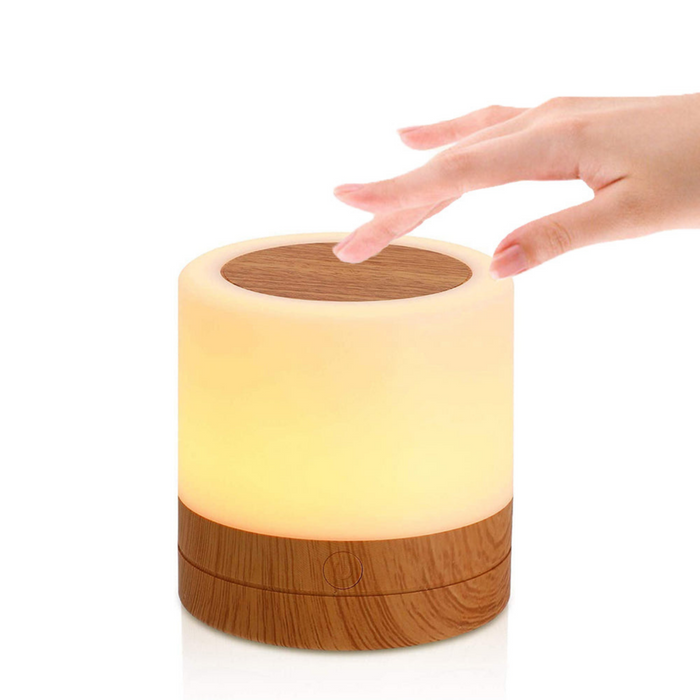 Rechargeable Portable Touch Lamp Night Light with Remote Control