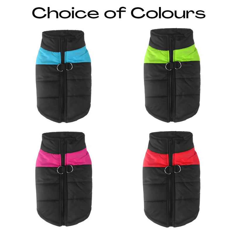 Warm Up Padded Zip Up Dog Jacket with Dual Leash Rings