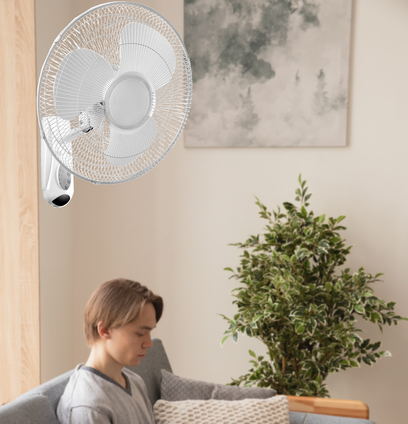 Appliances > Fans > Wall Mounted Fans