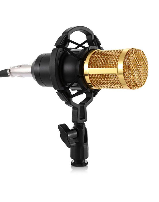 Bostin Life Karaoke Microphone Bm-800 Studio Condenser For Broadcasting Singing And Recording