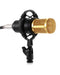 Bostin Life Karaoke Microphone Bm-800 Studio Condenser For Broadcasting Singing And Recording