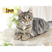 Bostin Life I.pet Cat Tree 45Cm Trees Scratching Post Scratcher Tower Condo House Furniture Wood