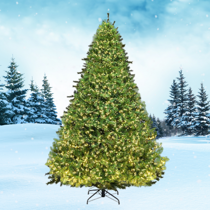 8FT 1436 Tips LED Christmas Tree - Warm White