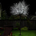 Bostin Life Jingle Jollys 2.5M Led Christmas Blossom Tree 600 Optic Fibre Cold White Occasions >