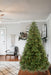 Bostin Life Jingle Jollys 1.8M 6Ft Christmas Tree Xmas 1980 Led Lights Warm White 765 Tips