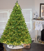 Bostin Life Christmas Tree 1488 Warm White Led Lights With Tips Green - 2.4M 8Ft Dropshipzone